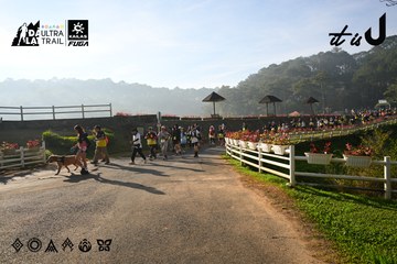 Dalat Ultra Trail 2026 - Ảnh #4911359