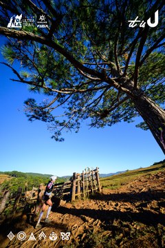 Dalat Ultra Trail 2026 - Ảnh #4912492
