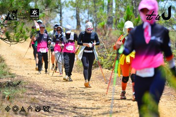 Dalat Ultra Trail 2026 - Ảnh #4877092