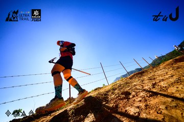 Dalat Ultra Trail 2026 - Ảnh #4912779