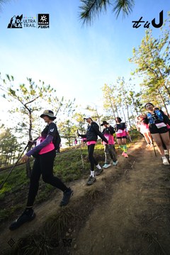 Dalat Ultra Trail 2026 - Ảnh #4910763