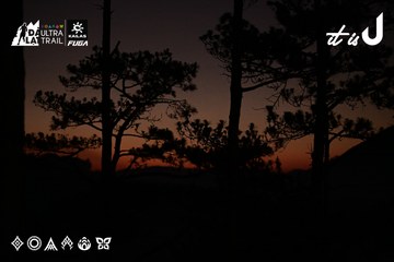 Dalat Ultra Trail 2026 - Ảnh #4729796