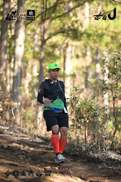 Dalat Ultra Trail 2026 - Ảnh #4879002