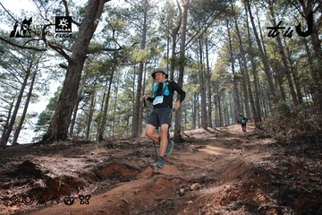 Dalat Ultra Trail 2026 - Ảnh #4739279