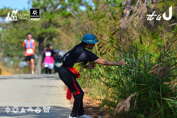 Dalat Ultra Trail 2026 - Ảnh #4748308