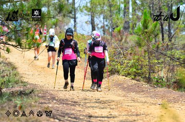 Dalat Ultra Trail 2026 - Ảnh #4876991