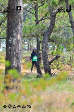 Dalat Ultra Trail 2026 - Ảnh #4876221