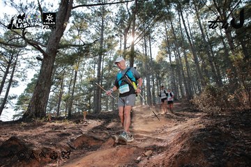 Dalat Ultra Trail 2026 - Ảnh #4739881