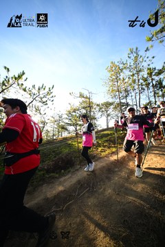 Dalat Ultra Trail 2026 - Ảnh #4910829
