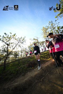 Dalat Ultra Trail 2026 - Ảnh #4910809