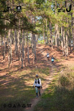 Dalat Ultra Trail 2026 - Ảnh #4913430