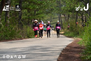 Dalat Ultra Trail 2026 - Ảnh #4831296