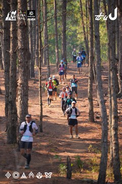 Dalat Ultra Trail 2026 - Ảnh #4913479