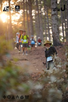Dalat Ultra Trail 2026 - Ảnh #4913574