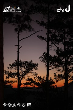 Dalat Ultra Trail 2026 - Ảnh #4720418