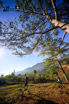 Dalat Ultra Trail 2026 - Ảnh #4912529