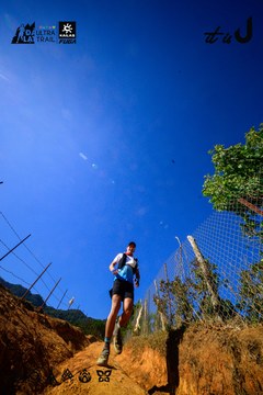 Dalat Ultra Trail 2026 - Ảnh #4912589