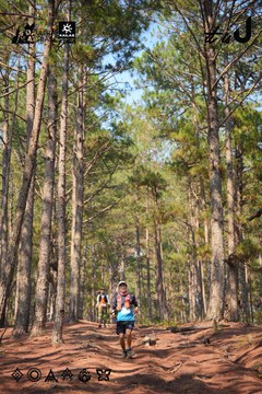 Dalat Ultra Trail 2026 - Ảnh #4913297