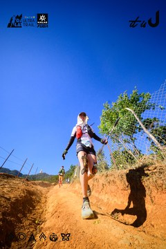 Dalat Ultra Trail 2026 - Ảnh #4912696