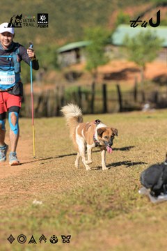 Dalat Ultra Trail 2026 - Ảnh #4714770