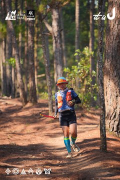 Dalat Ultra Trail 2026 - Ảnh #4913366
