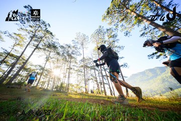 Dalat Ultra Trail 2026 - Ảnh #4912528