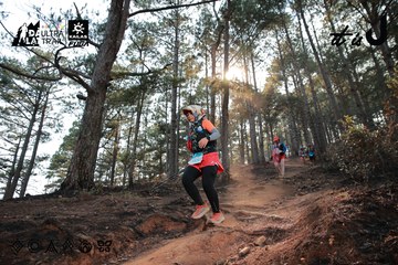 Dalat Ultra Trail 2026 - Ảnh #4740098