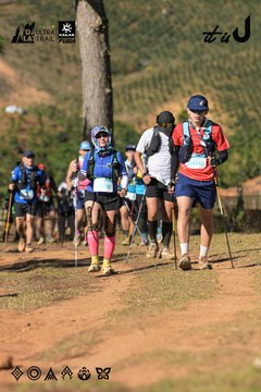 Dalat Ultra Trail 2026 - Ảnh #4714906