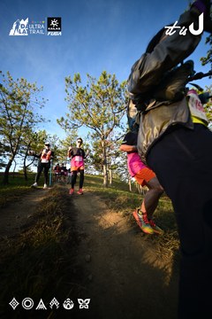 Dalat Ultra Trail 2026 - Ảnh #4910318