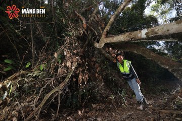 MĂNG ĐEN ULTRA TRAIL 2026 - Ảnh #4515322