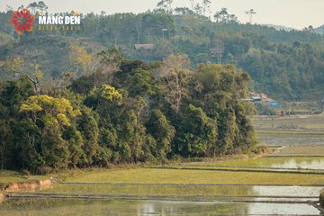 MĂNG ĐEN ULTRA TRAIL 2026 - Ảnh #4523174