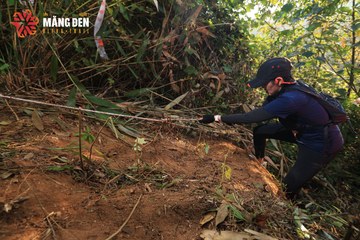 MĂNG ĐEN ULTRA TRAIL 2026 - Ảnh #4512929