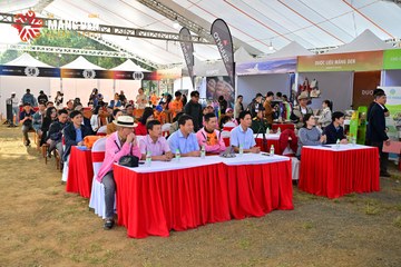 MĂNG ĐEN ULTRA TRAIL 2026 - Ảnh #4521243