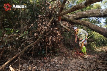 MĂNG ĐEN ULTRA TRAIL 2026 - Ảnh #4513284