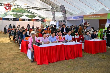 MĂNG ĐEN ULTRA TRAIL 2026 - Ảnh #4521238