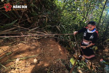 MĂNG ĐEN ULTRA TRAIL 2026 - Ảnh #4514450