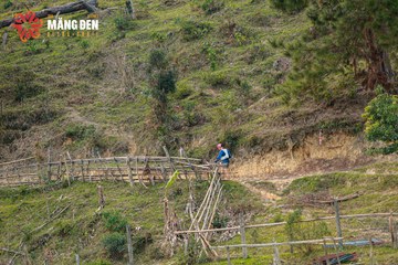 MĂNG ĐEN ULTRA TRAIL 2026 - Ảnh #4523359
