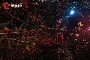 MĂNG ĐEN ULTRA TRAIL 2026 - Ảnh #4512609