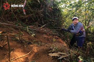 MĂNG ĐEN ULTRA TRAIL 2026 - Ảnh #4512977