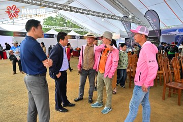 MĂNG ĐEN ULTRA TRAIL 2026 - Ảnh #4520850