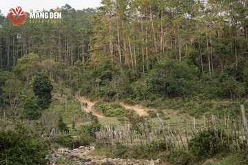 MĂNG ĐEN ULTRA TRAIL 2026 - Ảnh #4518595