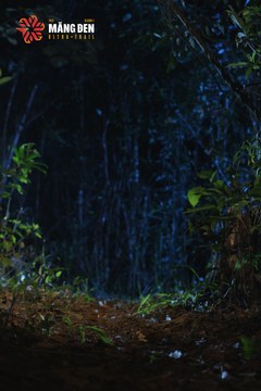 MĂNG ĐEN ULTRA TRAIL 2026 - Ảnh #4511263