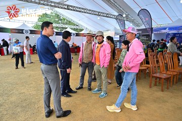 MĂNG ĐEN ULTRA TRAIL 2026 - Ảnh #4520852
