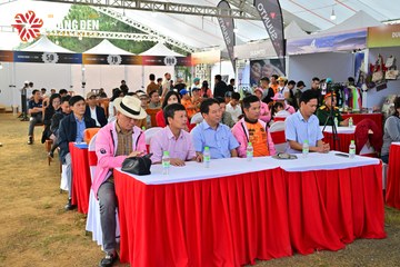 MĂNG ĐEN ULTRA TRAIL 2026 - Ảnh #4521320