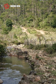 MĂNG ĐEN ULTRA TRAIL 2026 - Ảnh #4503530