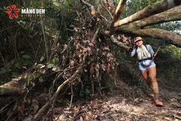 MĂNG ĐEN ULTRA TRAIL 2026 - Ảnh #4514881