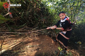 MĂNG ĐEN ULTRA TRAIL 2026 - Ảnh #4514466