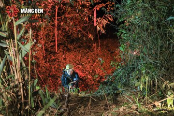 MĂNG ĐEN ULTRA TRAIL 2026 - Ảnh #4520781