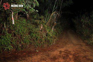 MĂNG ĐEN ULTRA TRAIL 2026 - Ảnh #4506142