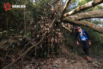 MĂNG ĐEN ULTRA TRAIL 2026 - Ảnh #4514949